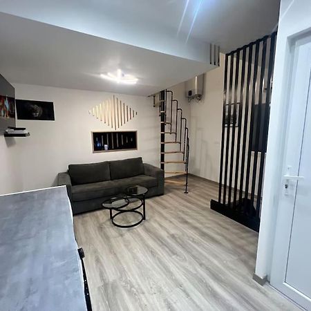 Maison Appartement Triplex Avec Jacuzzi Et Sauna Saint-Etienne  Esterno foto